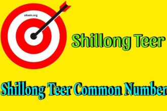 Today Shillong Teer Common Number