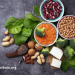 wellhealthorganic.com Vegetarian Protein Source Archives